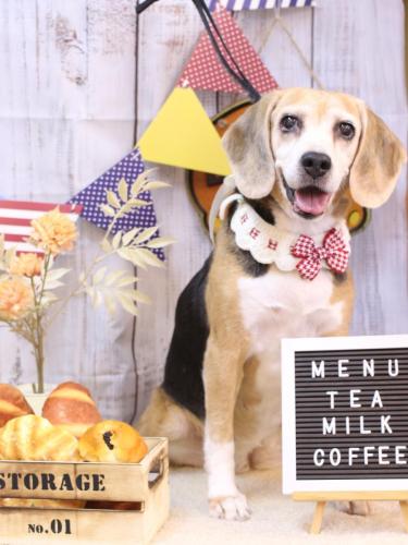 20240905ミツコちゃん